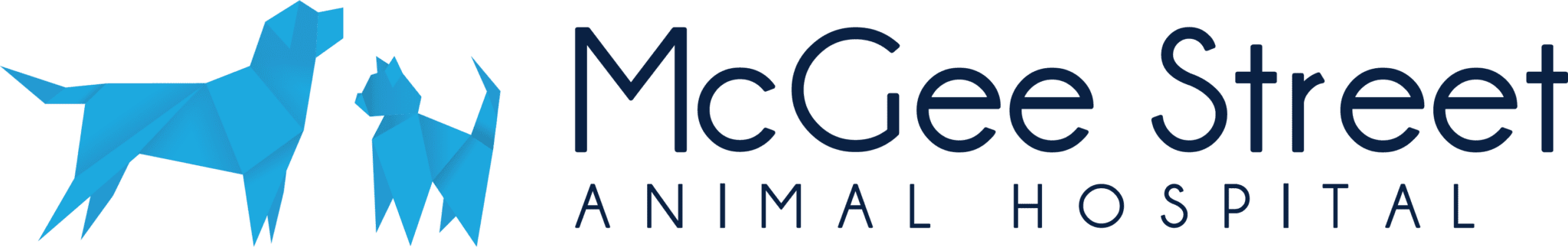 Msah Logo Horizontal Color