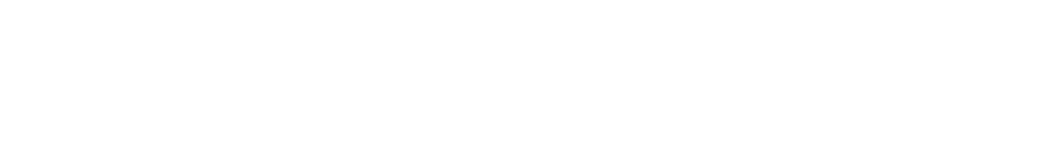 Msah Logo Horizontal Reverse
