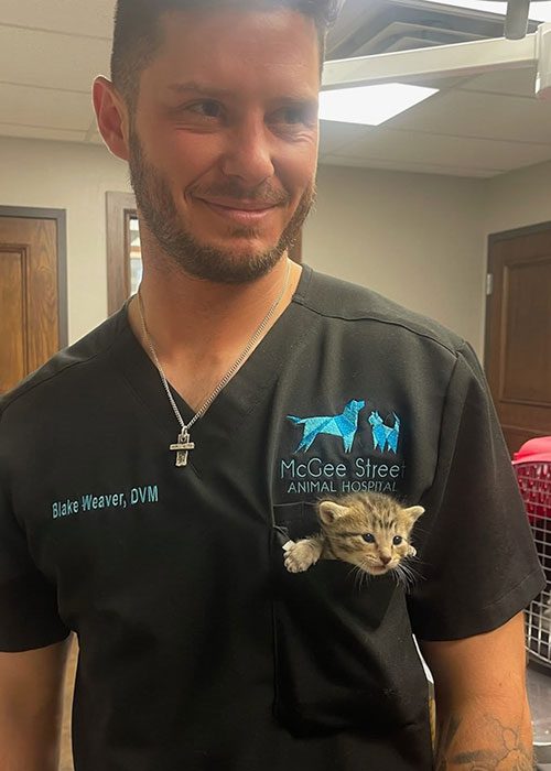 Veterinarian With Kitten In Front Pocket