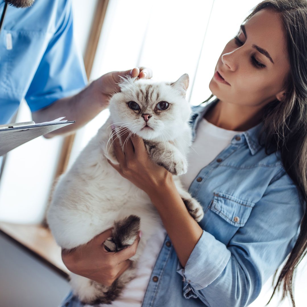 Woman Holding Her Cat Woman Holding Her Cat