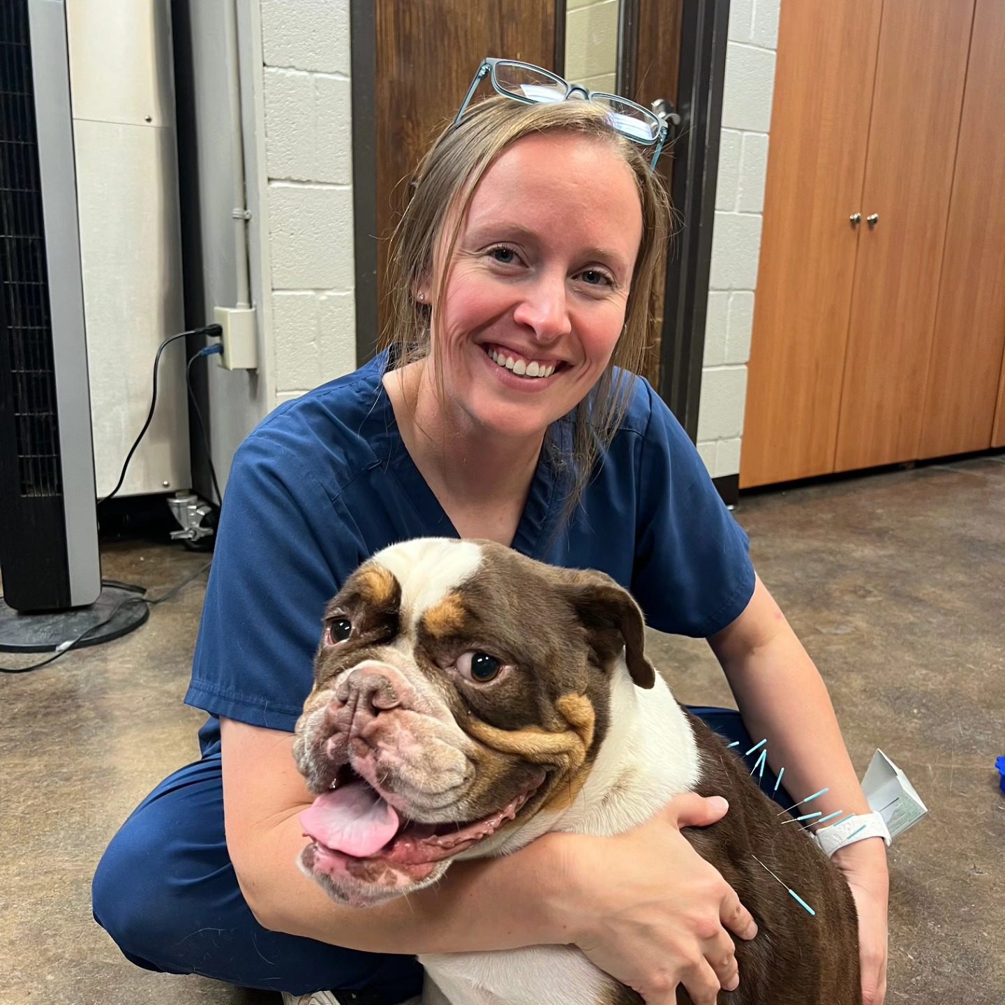 smiling female veterinarian with bulldog