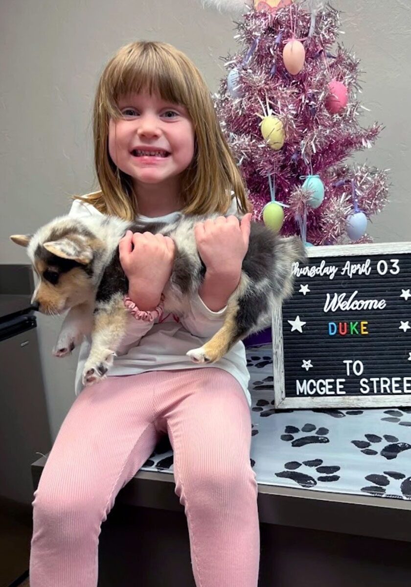 Little Girl Holding Dog young girl holding puppy in front of McGee Street Animal Hospital's holiday decorations